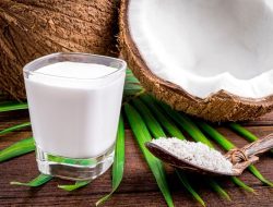 Manfaat Santan Untuk Kesehatan Jantung dan Turunkan Berat Badan