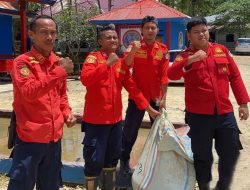 Heboh,  Warga Lihat Ular Tengah Makan Kambing