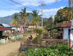 Cerita Warga Waturambaha yang Dipindahkan Pemerintah ke Dalam Kawasan Hutan