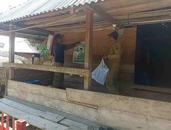 Bawaslu Buton Tertibkan APK yang Langgar Aturan