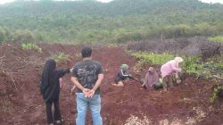 Arif Afandi Kembangkan Kebun 3 Hektare di Buton, Dorong Pertanian Jadi Sumber Lapangan Kerja